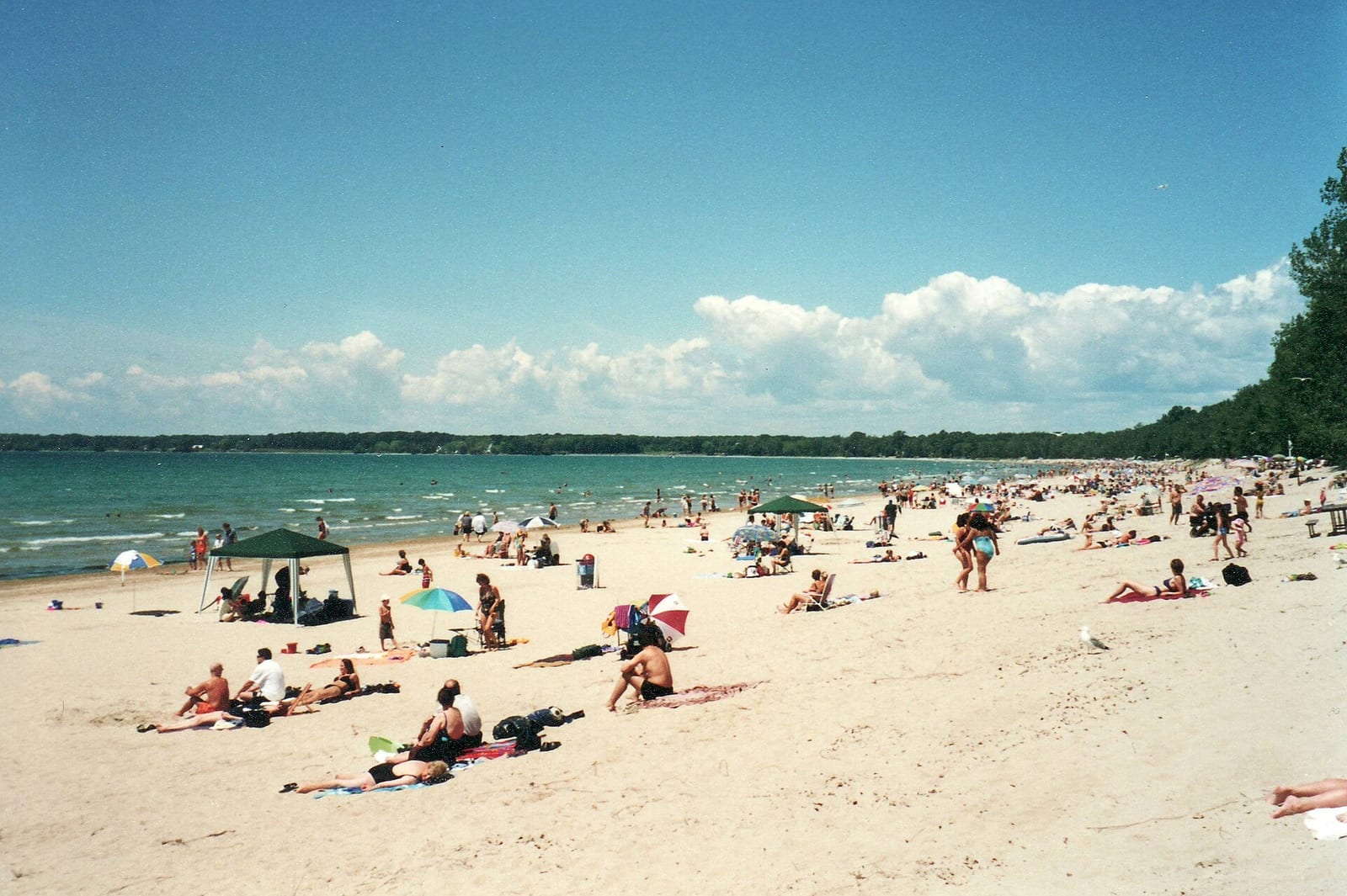 Prince Edward County, Toronto